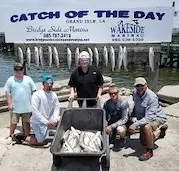 catch trout on louisiana fishing charter